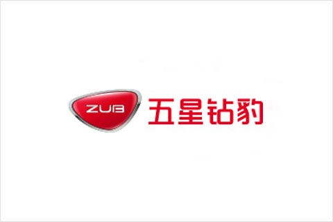 9999js金沙老品牌电池合作伙伴 五星钻豹电动车